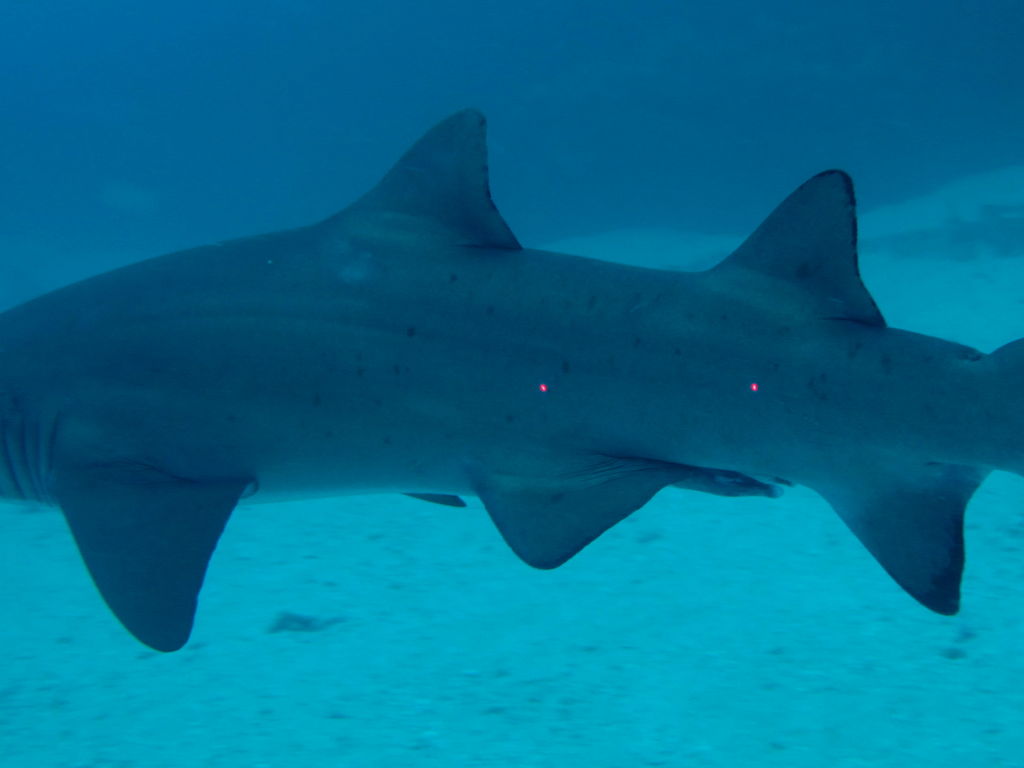 6269483b-565f-402e-9d7e-abbd4c0b632a