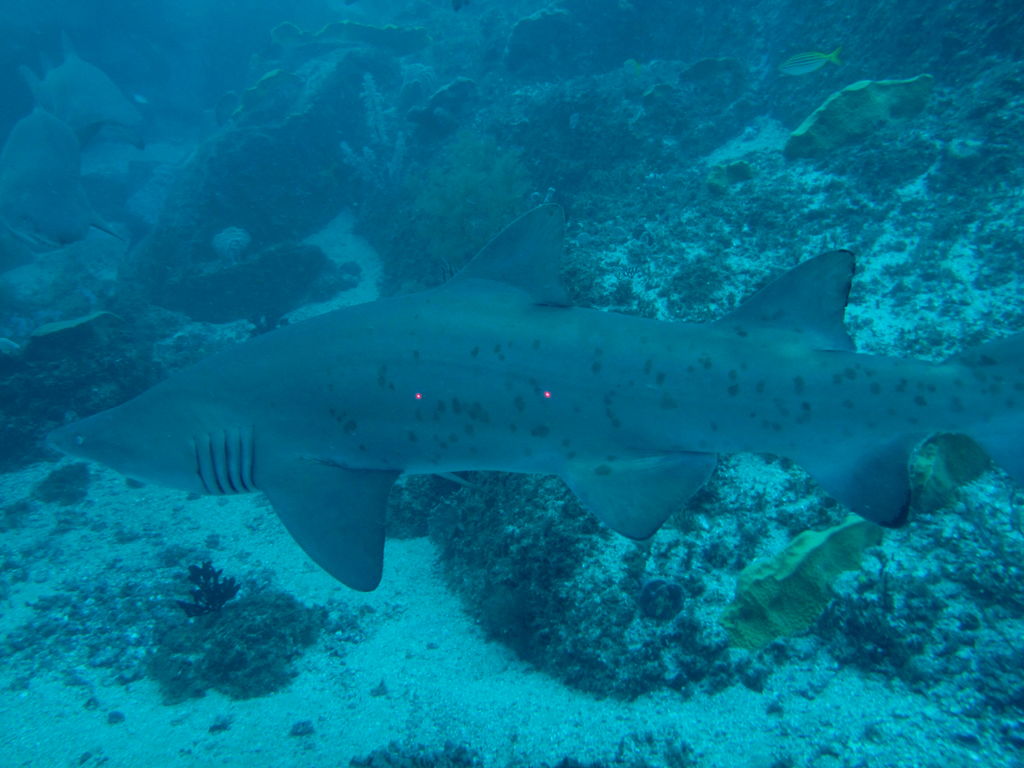 5bba50ed-1cf5-4002-808d-238a6bea92ba