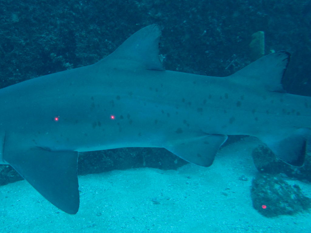 e3aefae6-c56c-4086-aa50-72d039f394dc