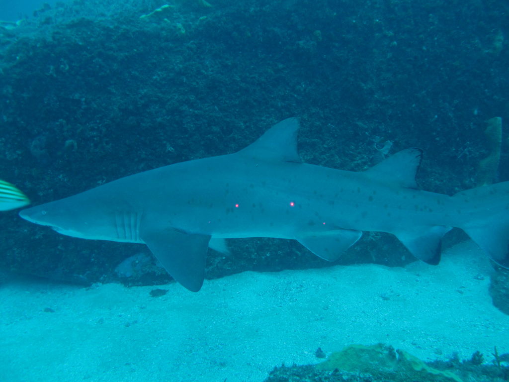 e3aefae6-c56c-4086-aa50-72d039f394dc