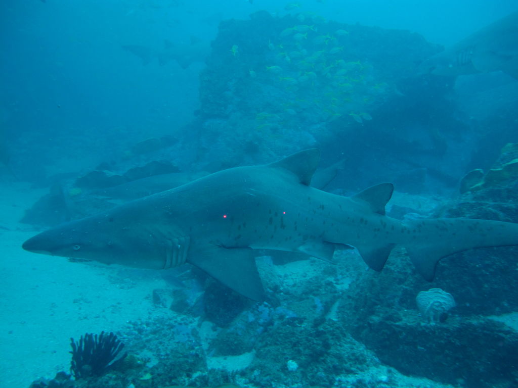 79d056fd-33ee-4d11-b814-9477c6b84ce0