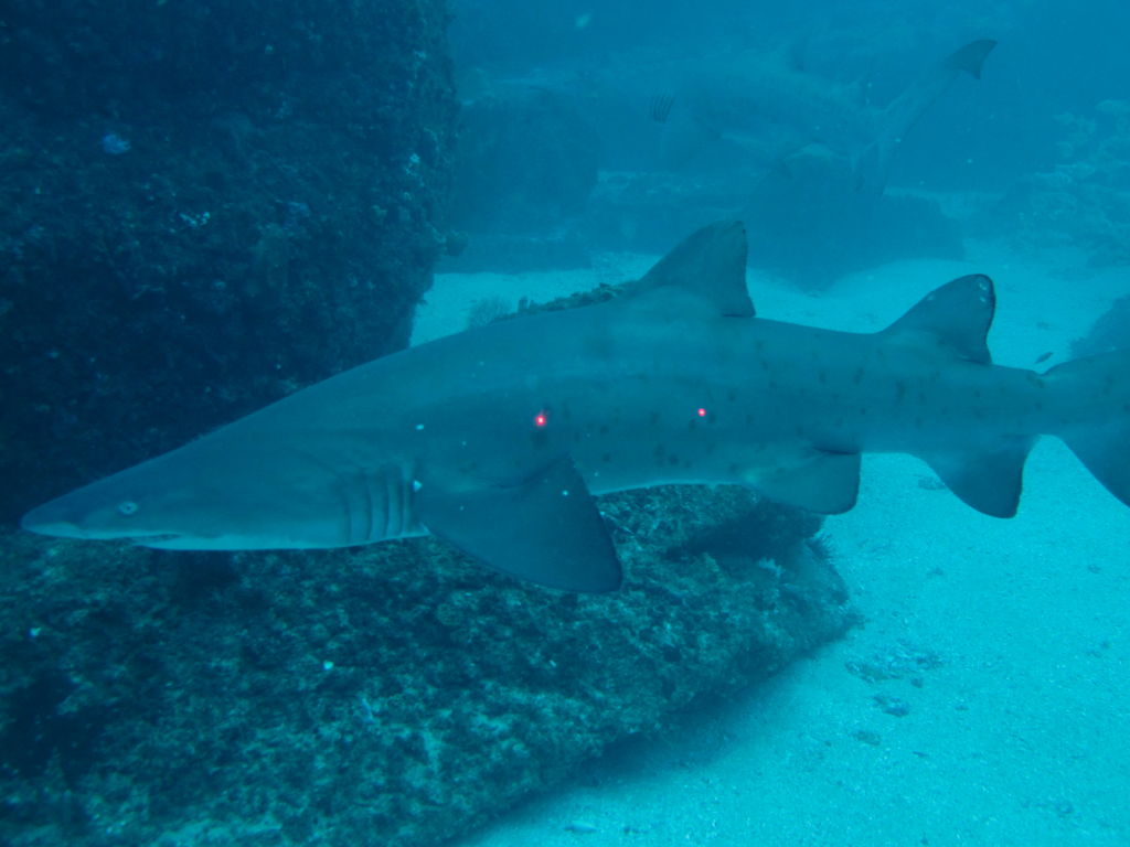 89973237-71ab-4874-b4ee-7636c5c83366