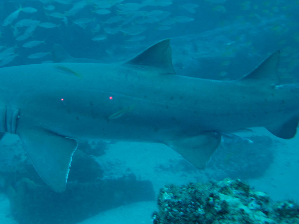 3f598d22-7394-4166-9f6a-a73fdf547460