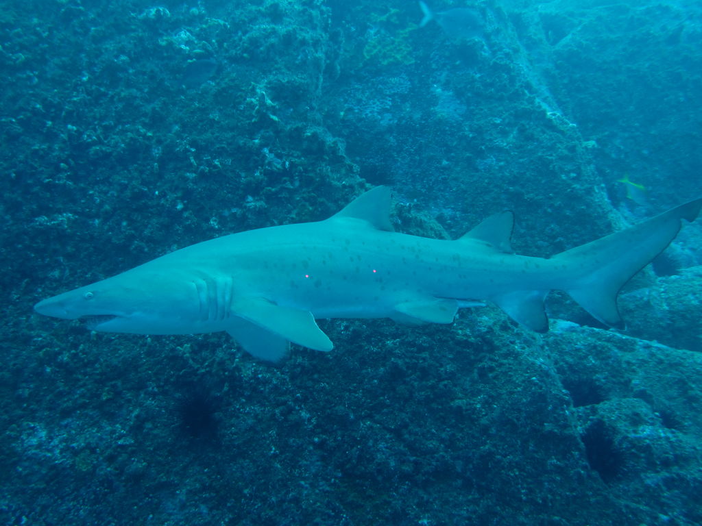 52495bbc-8a98-4c8a-9c18-2dcf3b3abaca