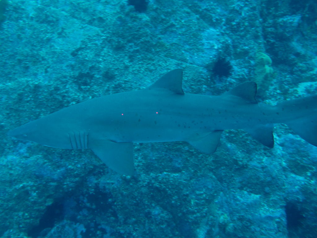 014033dd-e38a-4958-bfa3-482ec5b0db19