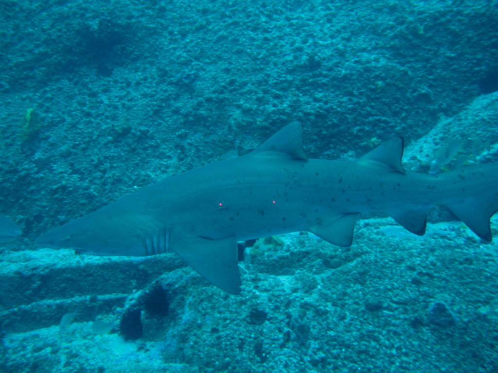 2b0ad4a5-c11d-4a80-93eb-6afbdb9c1647