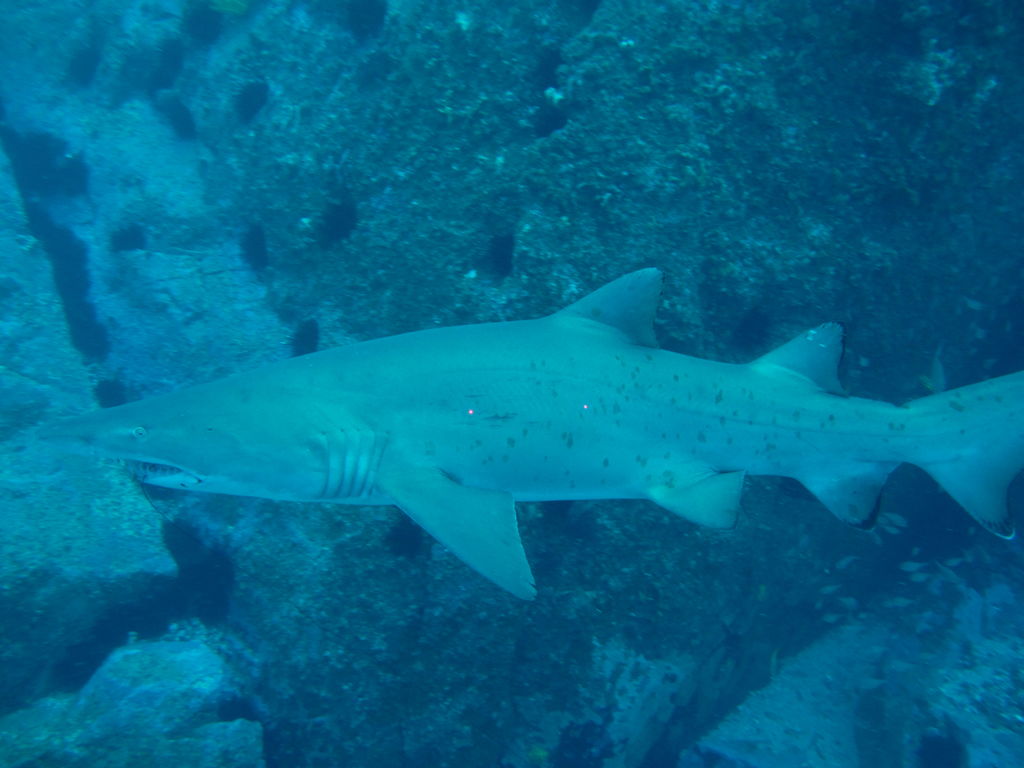 2b0ad4a5-c11d-4a80-93eb-6afbdb9c1647