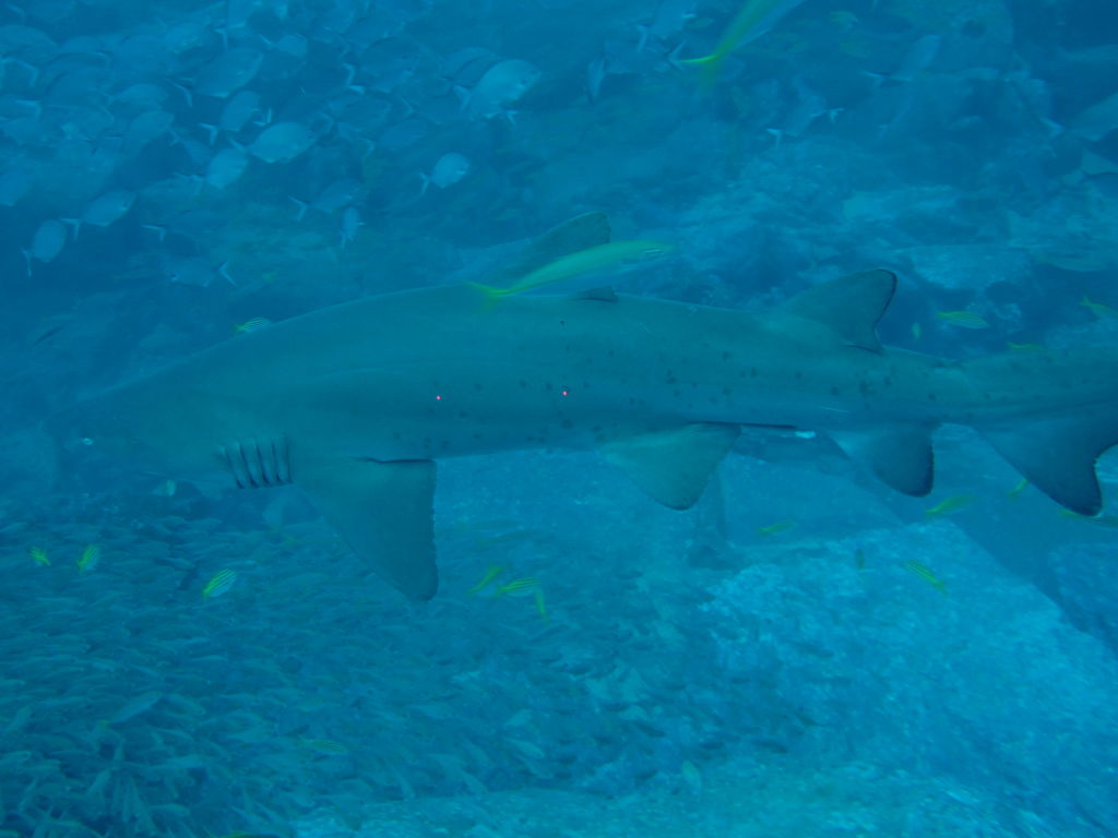 05da92f2-0a8d-4b7f-b6d6-4f268930f6be