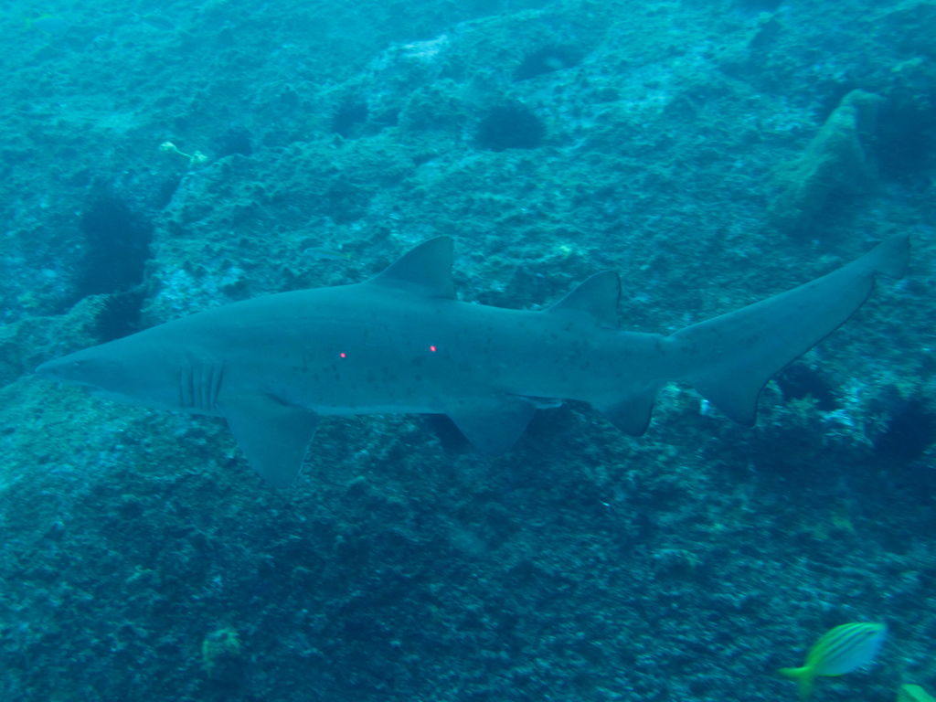 64de8ebf-c500-4ab7-8c53-c4881a08588b