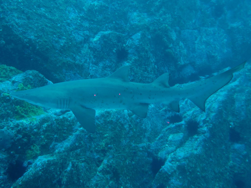 0c550c59-3192-4b17-b16d-2fd6ea6413f2