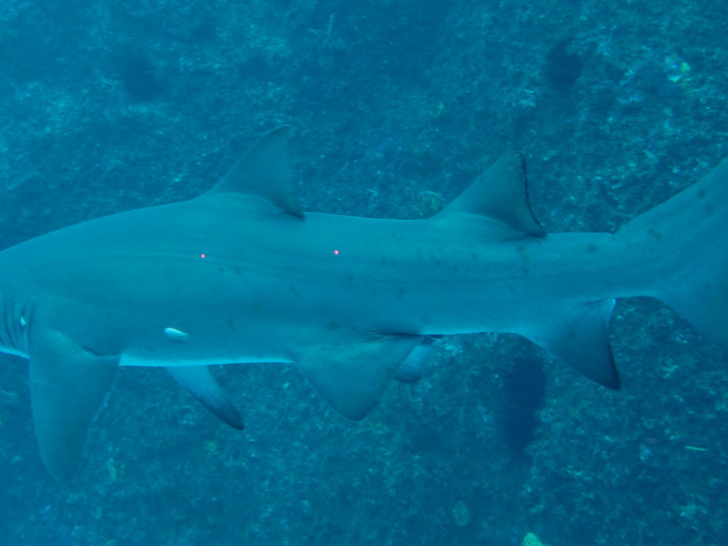 af151543-67bb-4521-9356-5f40771880dd