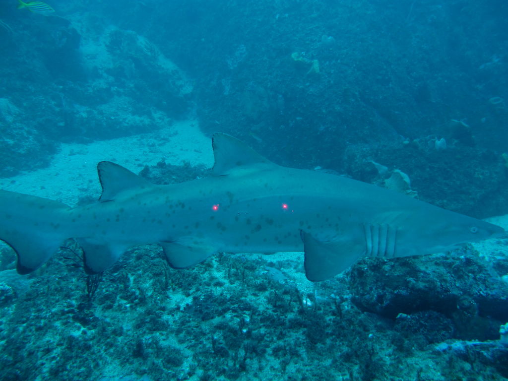 2e4a6fa8-931f-450a-9cb6-ddbbcdec5c1b