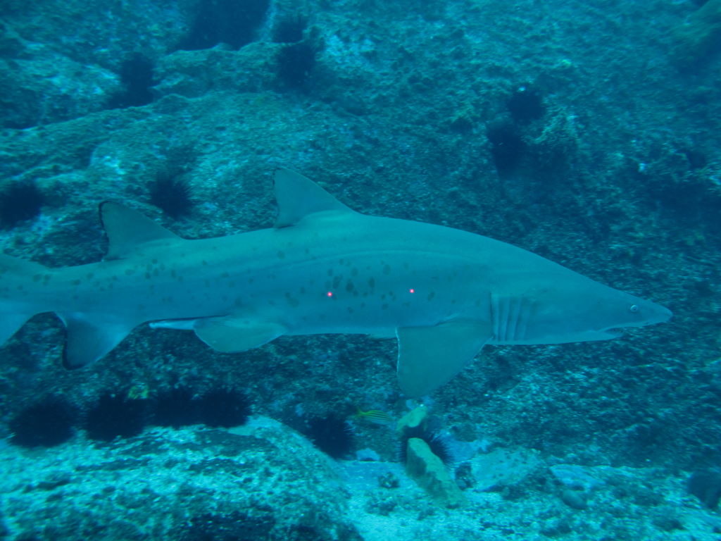 b8a7fa58-945f-4e0d-8795-9842d97da59a