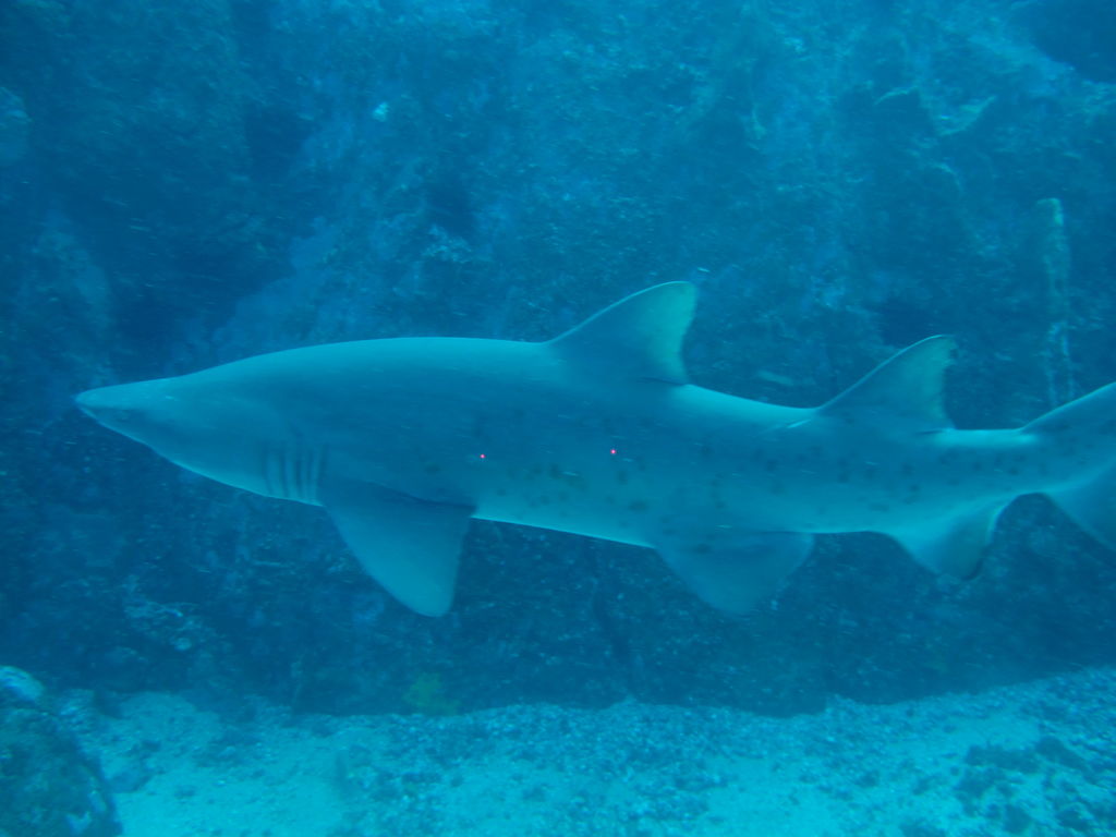 5bba50ed-1cf5-4002-808d-238a6bea92ba