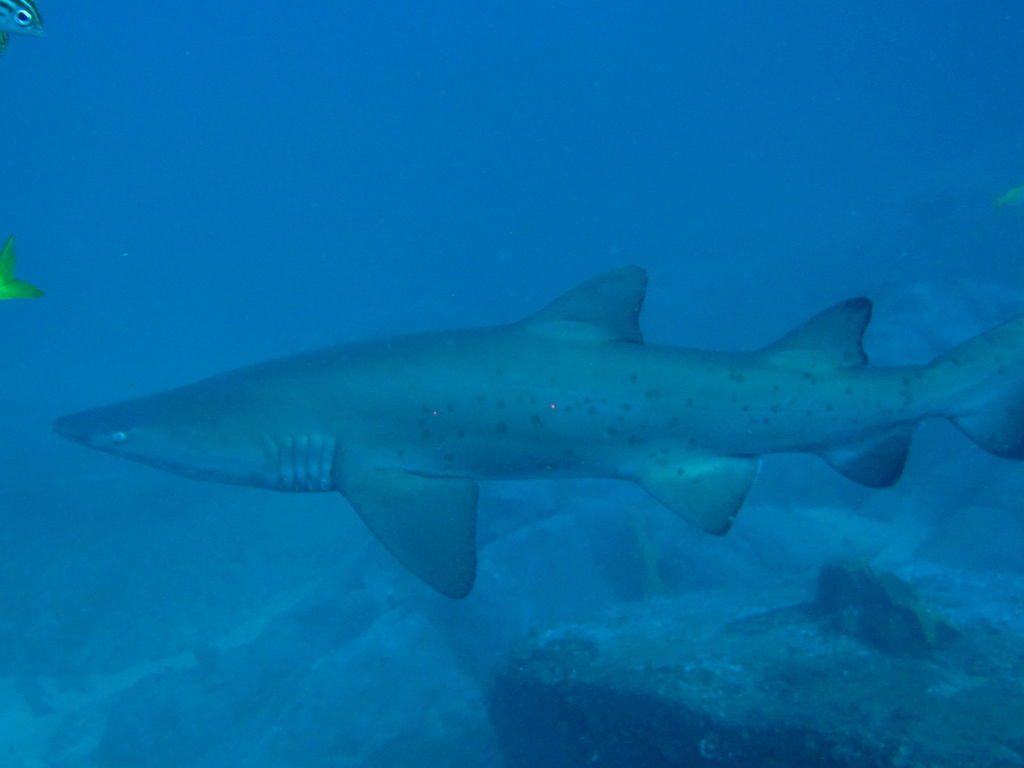 7bd6d07c-b379-45ec-8205-e17517a21653