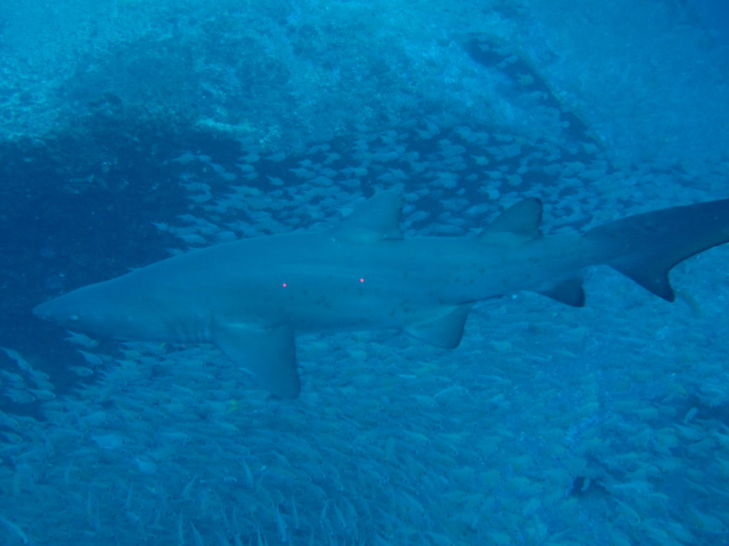 c7dfd18c-19ee-4eef-9a62-395bb7cf8cb9