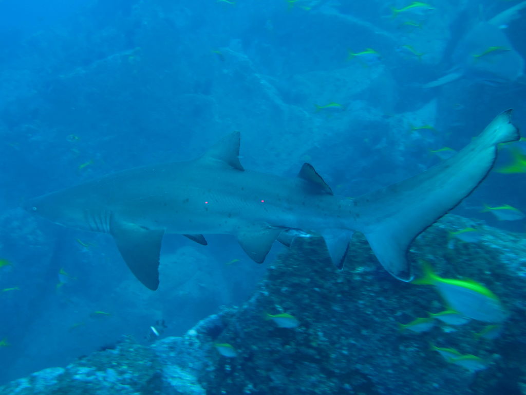 52ddd468-c302-45cc-bc7c-a24553eb943d