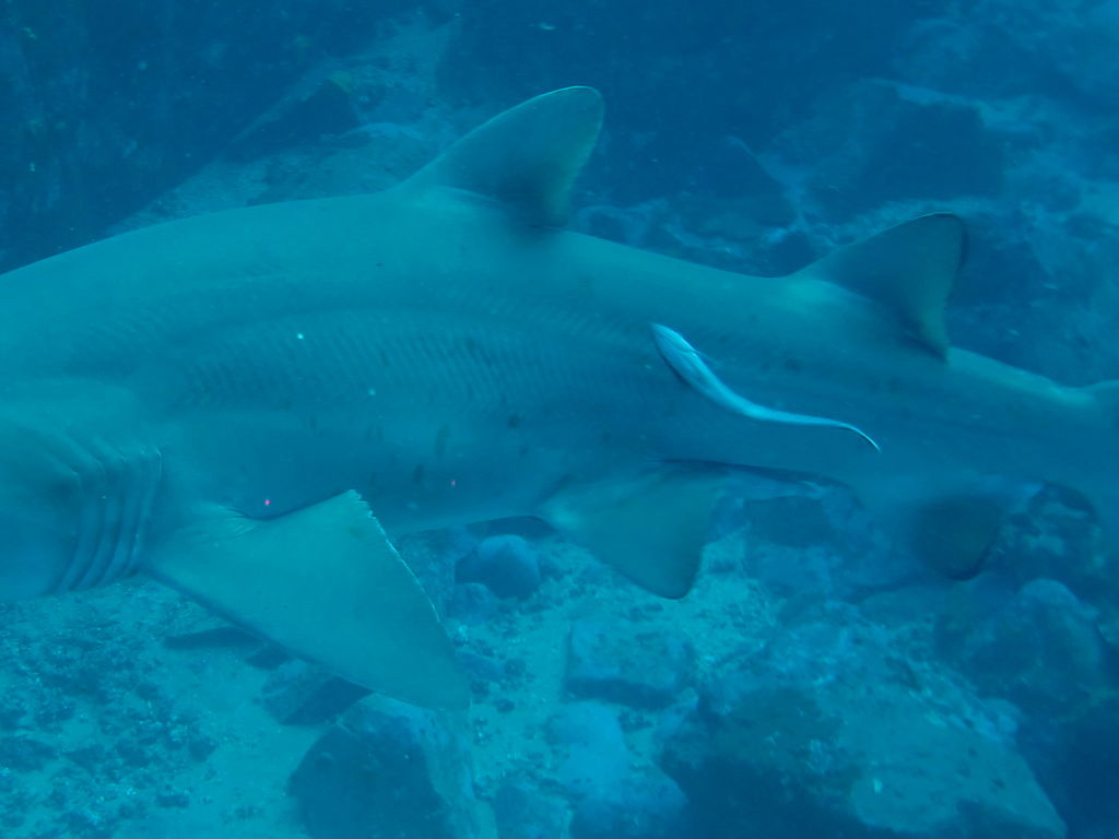 2bc8ae73-e506-4d70-87e7-87f240f77fa7