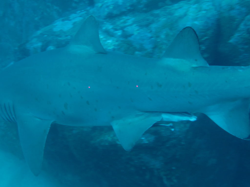 67c4dbec-0566-4806-bcc6-ba0efa1a4b0f