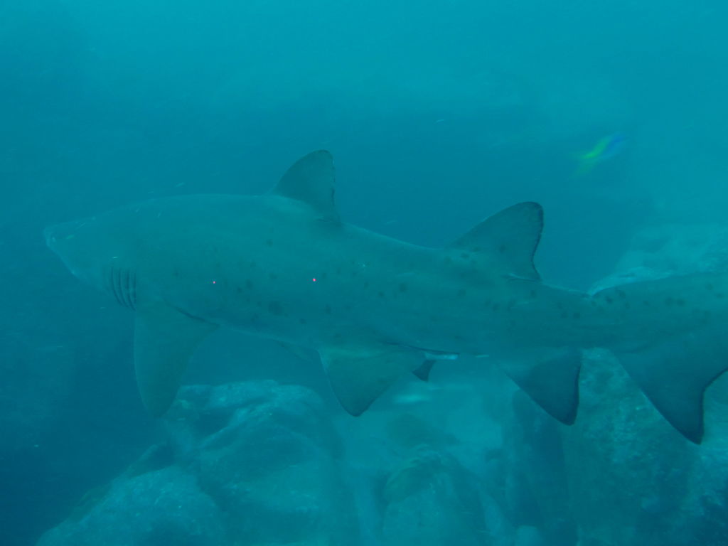 a8aac193-d735-46de-80f0-1f1c4501a58d