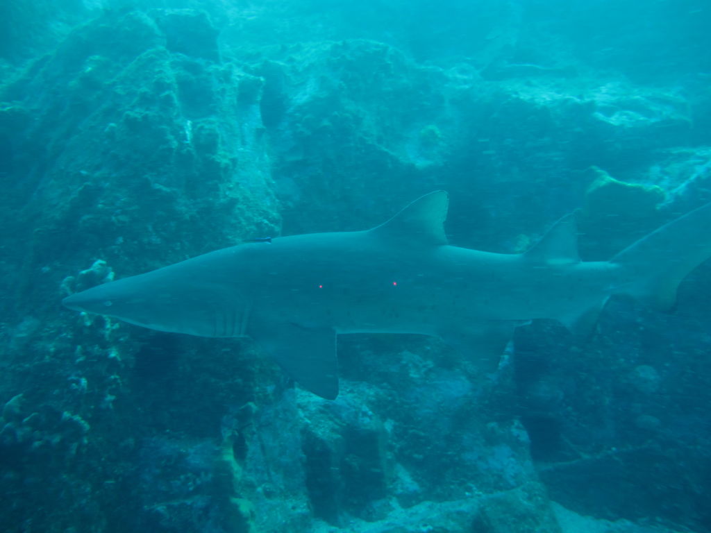 18d28a1c-658d-4fc2-b0f6-a2ea79adfe8d