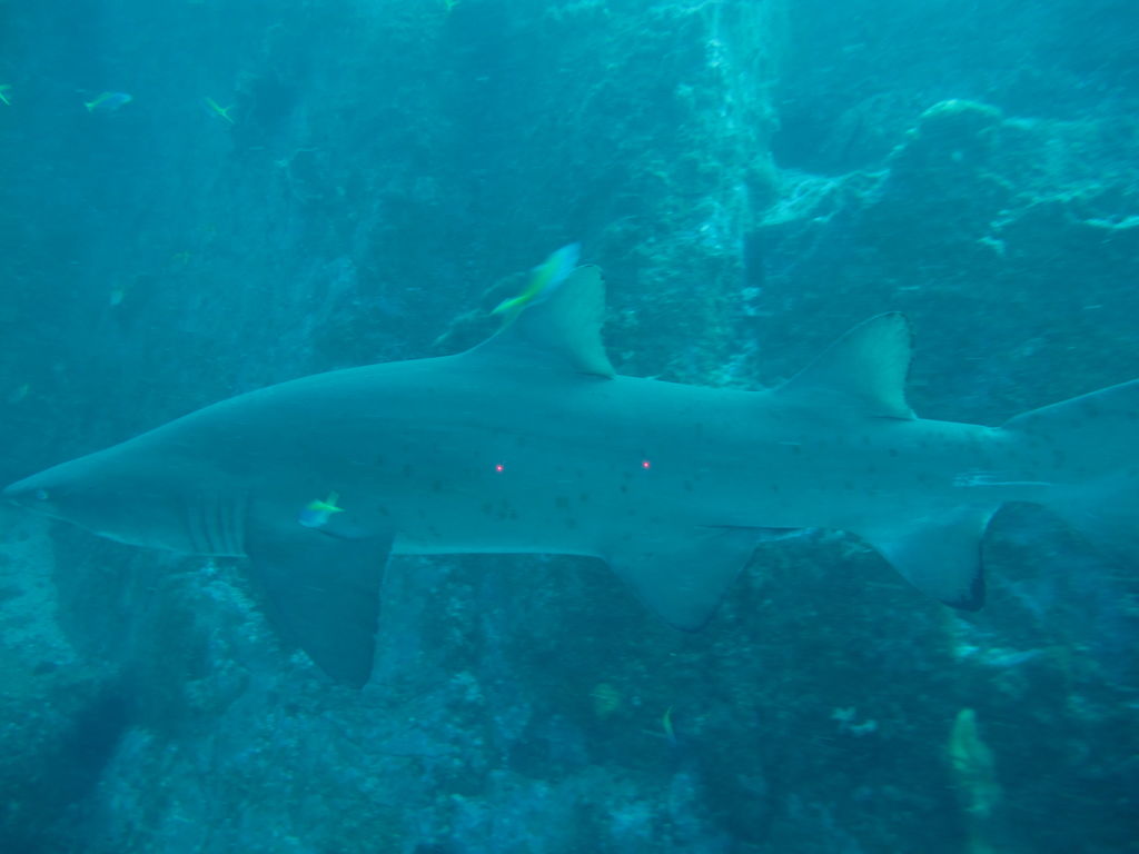 18d28a1c-658d-4fc2-b0f6-a2ea79adfe8d