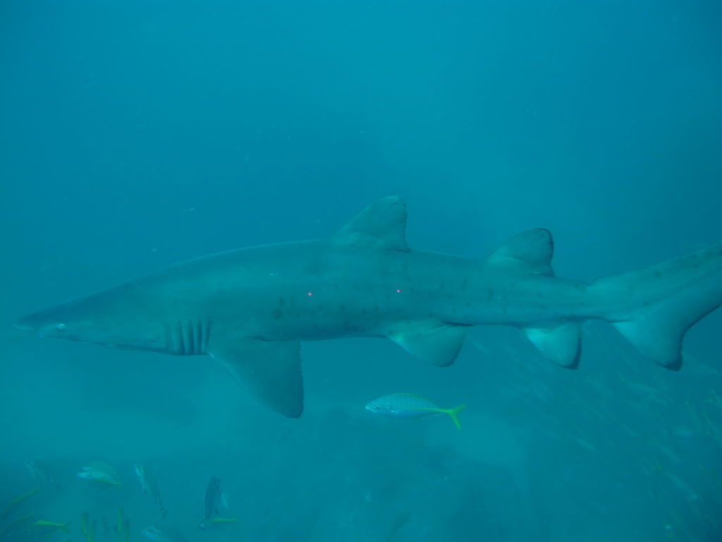 89973237-71ab-4874-b4ee-7636c5c83366