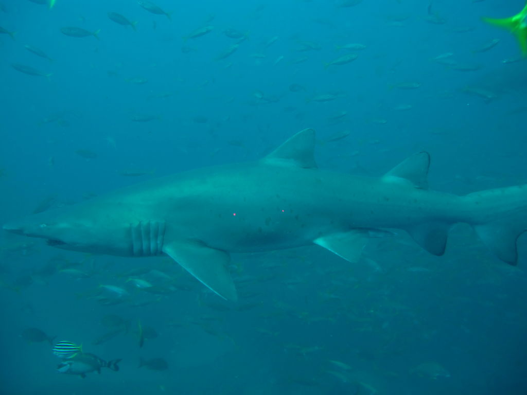 67c4dbec-0566-4806-bcc6-ba0efa1a4b0f