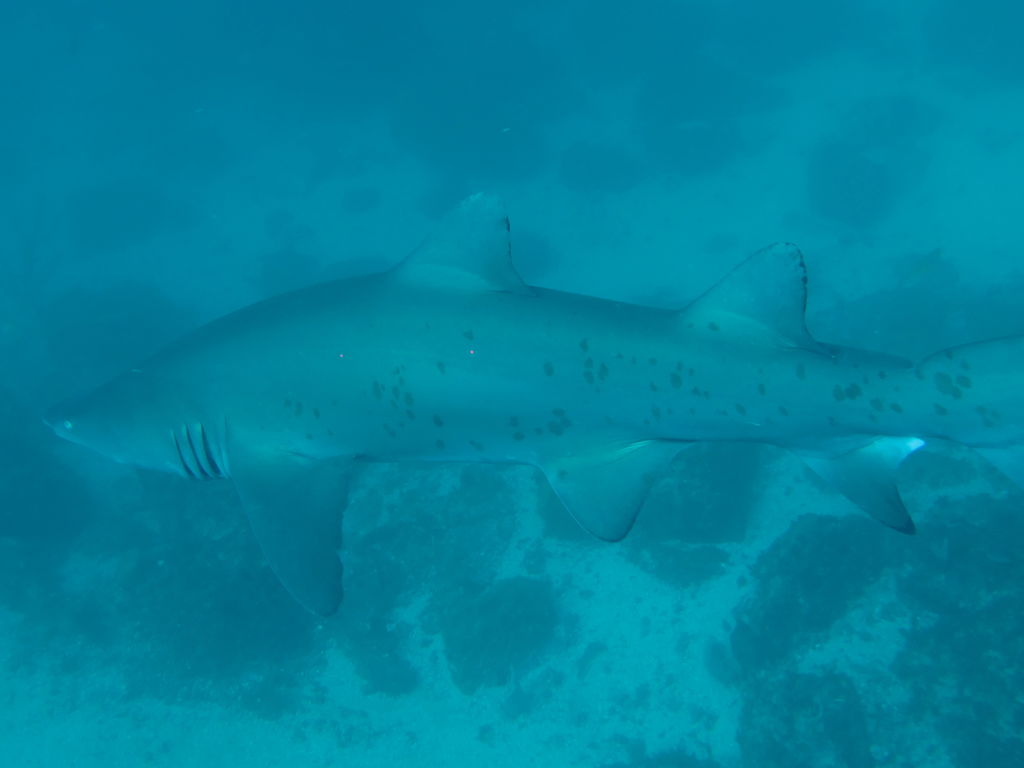 e6f0f9b9-4a69-4762-9391-9490b0b90e7a