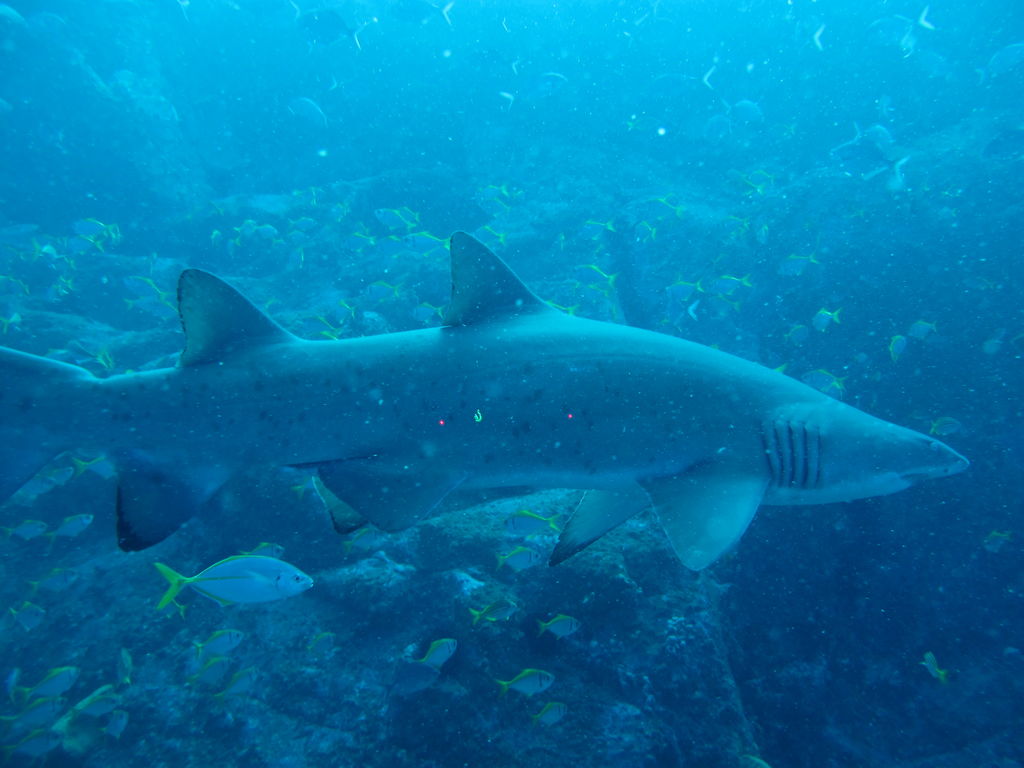 b0090b23-0f90-4811-b36a-36502c9ed66e