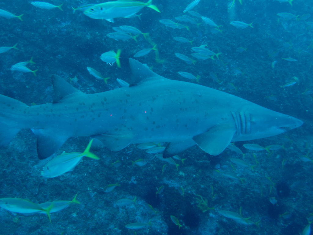 c6167e95-4626-4cb1-877f-ed65d76d05e4