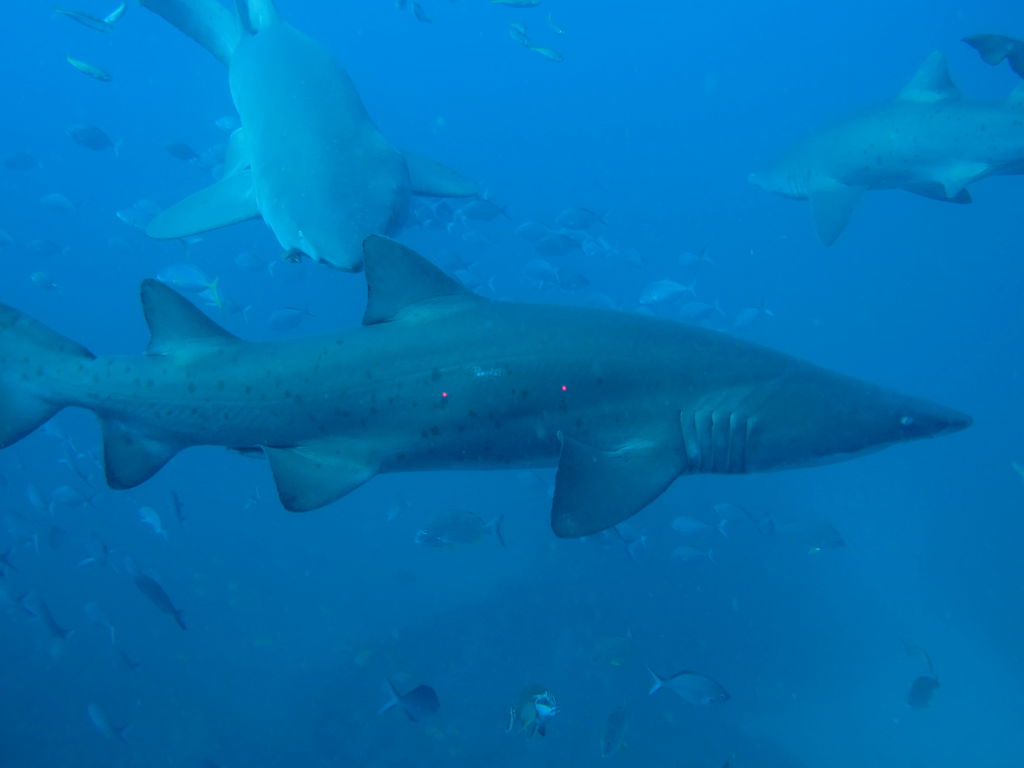 b0090b23-0f90-4811-b36a-36502c9ed66e