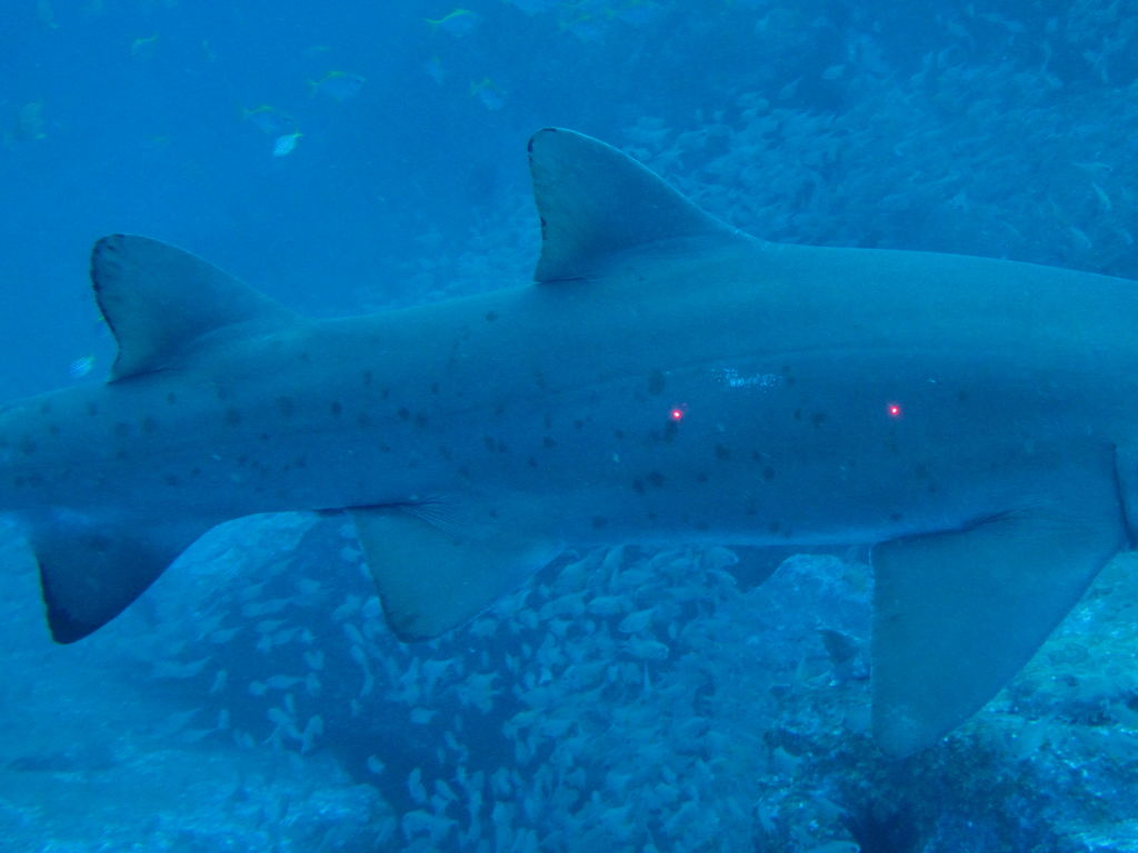 b0090b23-0f90-4811-b36a-36502c9ed66e