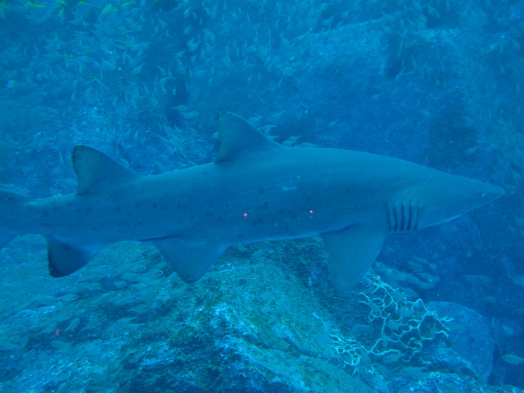 b0090b23-0f90-4811-b36a-36502c9ed66e