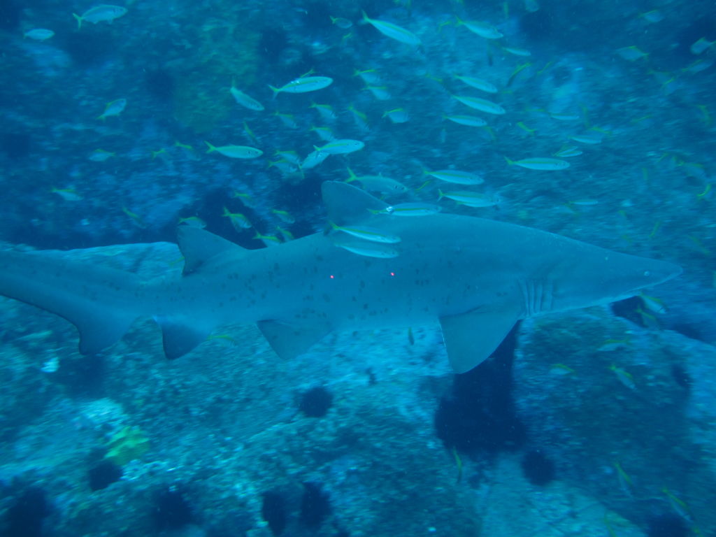 c6167e95-4626-4cb1-877f-ed65d76d05e4