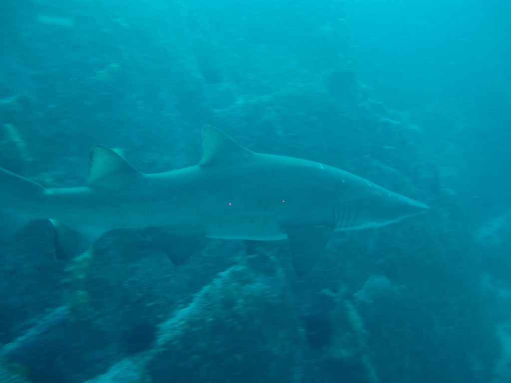 409e16fc-0e7a-48dd-8c28-81ae39d86d65