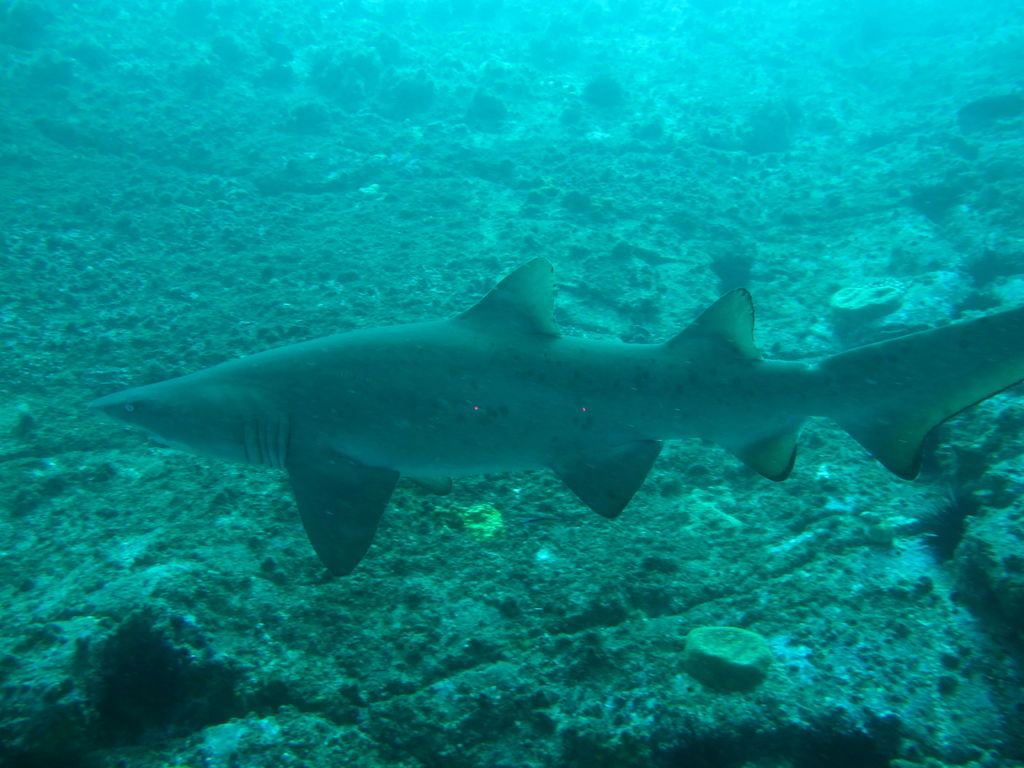 48d718b6-cc2a-4828-a324-76252591180e