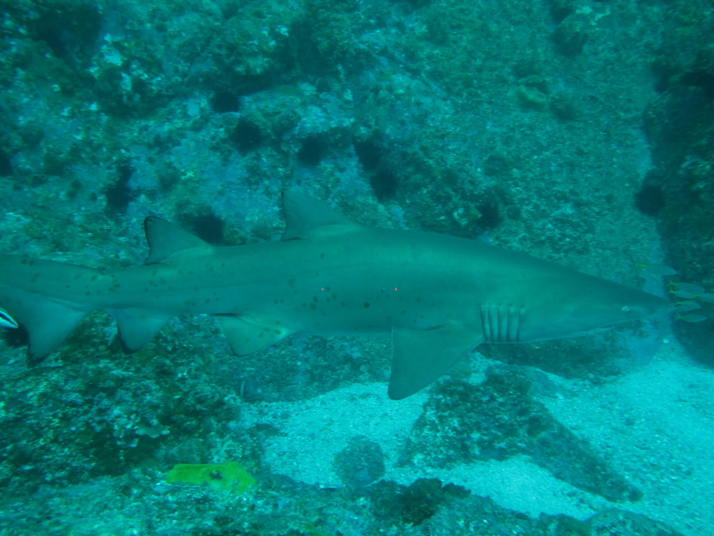 1b7b9feb-4293-4610-a380-bfb387aa3631