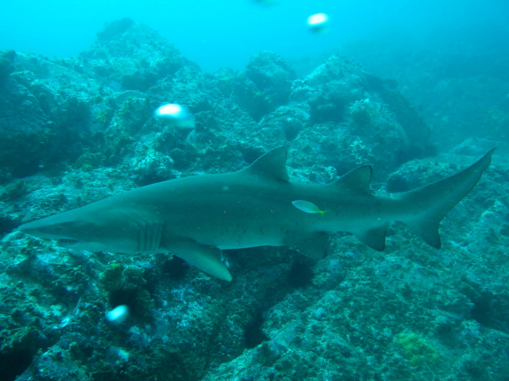 c501ef5a-ec16-41b4-9562-c5d6936d9130