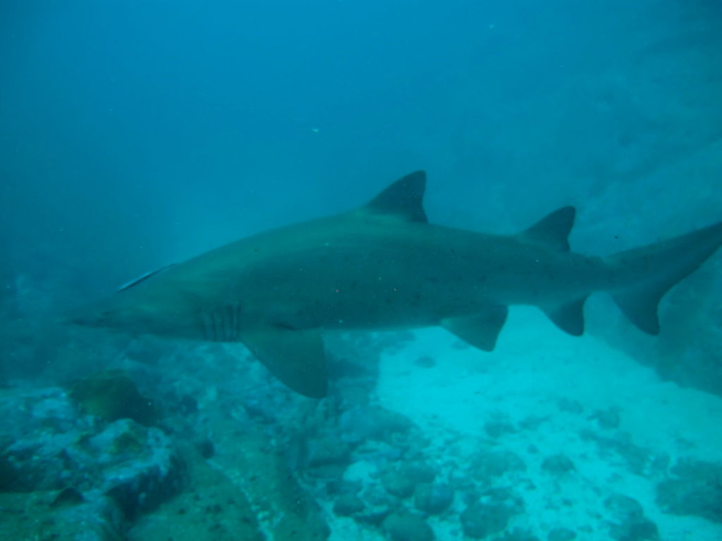 8a7998ee-9b6a-4a4d-b8f3-cc3a154c1483