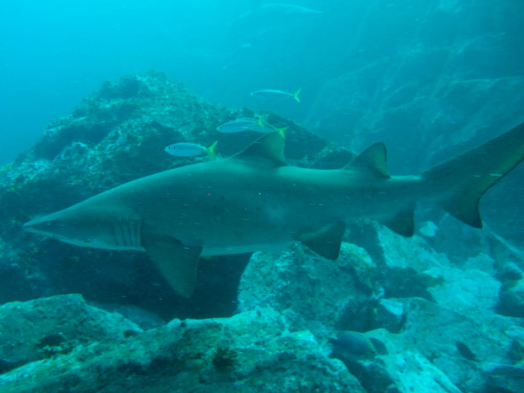 81f67b4a-84de-4820-9c2c-15447147eaaa