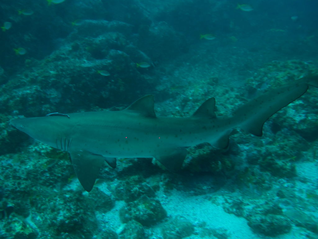 44c422bf-c6da-438c-8489-14e06bec1574