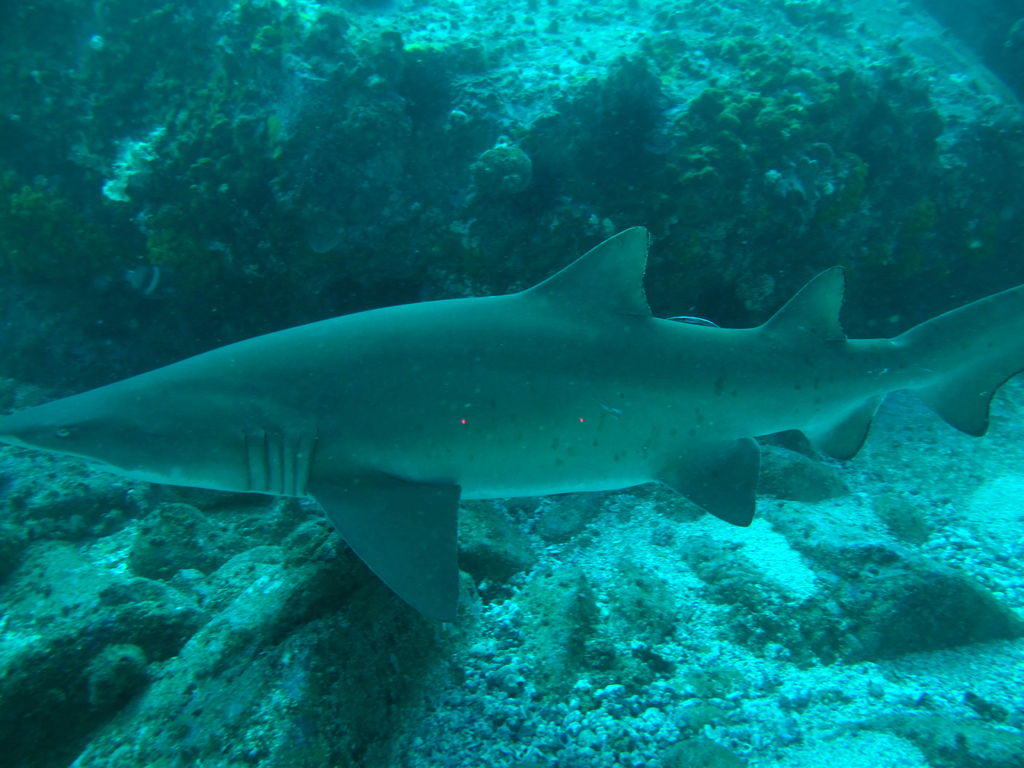 184b6610-753f-4790-a2f3-e580dc6f7028