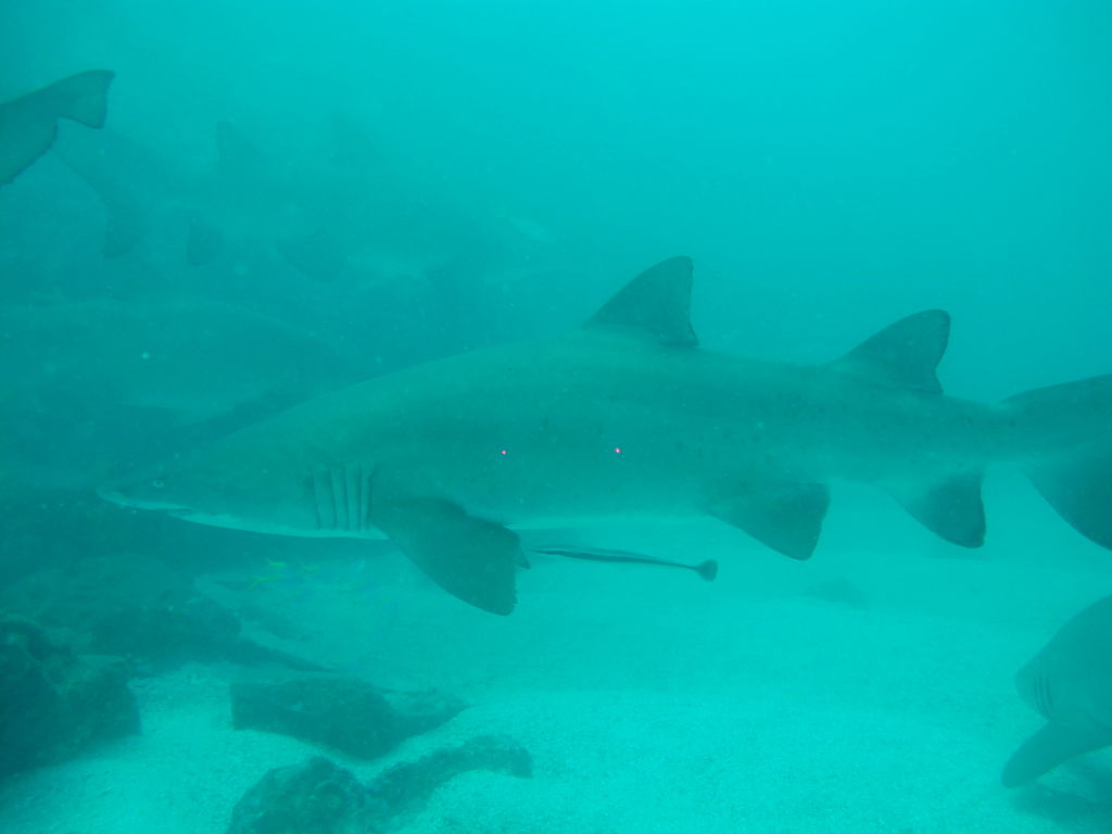 014033dd-e38a-4958-bfa3-482ec5b0db19