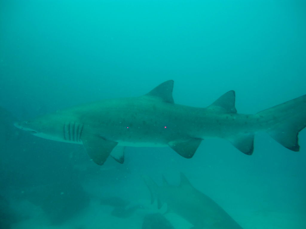 869fb4cc-76de-4f65-aef8-e3693b9aed5a