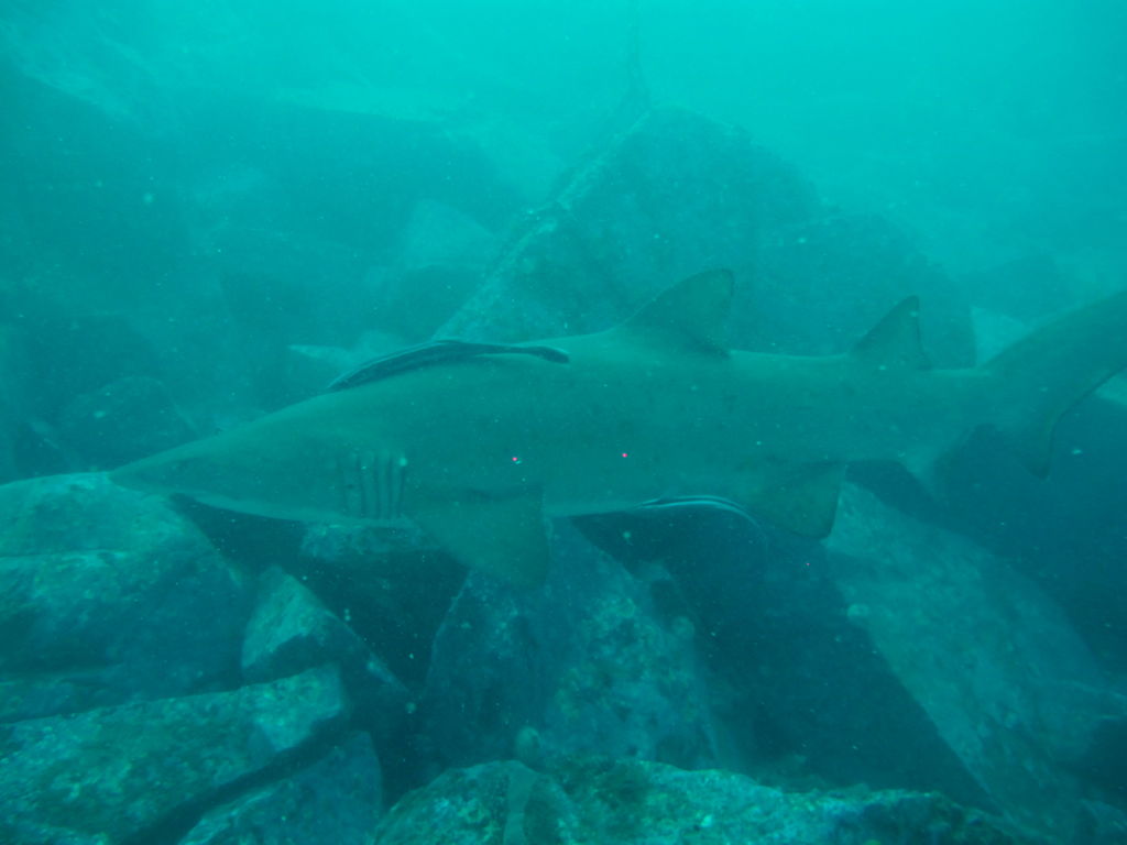 63aa5359-f689-48e1-8f98-35074a2dccdc