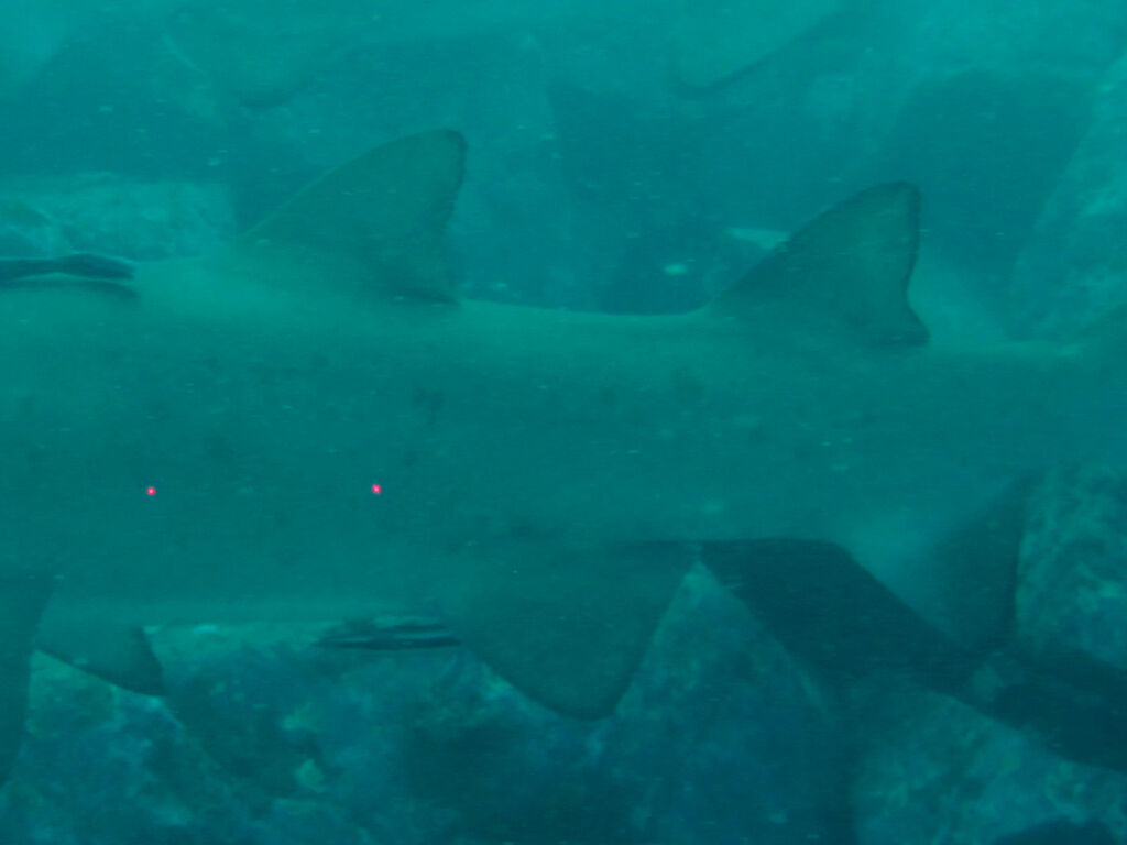 63aa5359-f689-48e1-8f98-35074a2dccdc