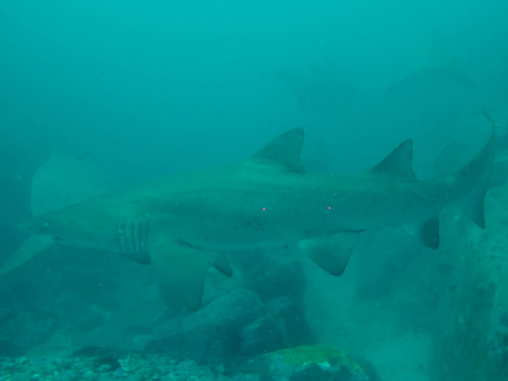 6dd04c20-defc-4a38-b8bf-7dfa6b2f6845