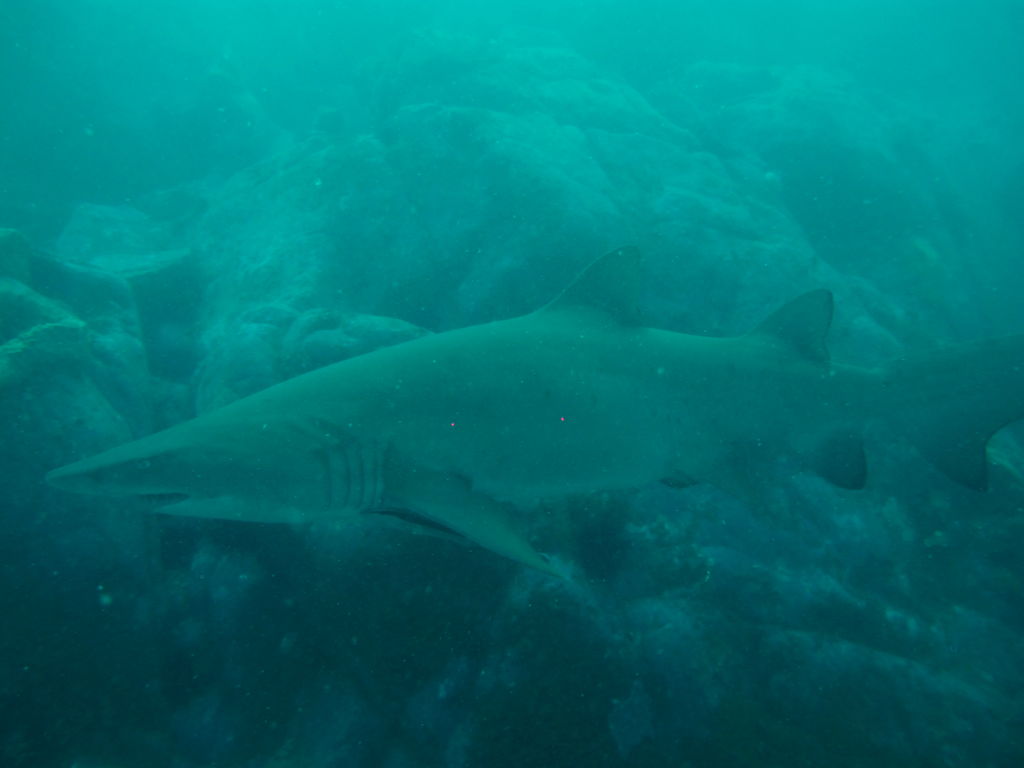 014033dd-e38a-4958-bfa3-482ec5b0db19