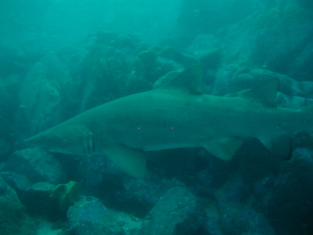 910caefa-0b21-4c21-89d5-b28aebaba05e